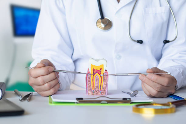 Best Emergency Dental Services for Seniors in Captains Cove, VA